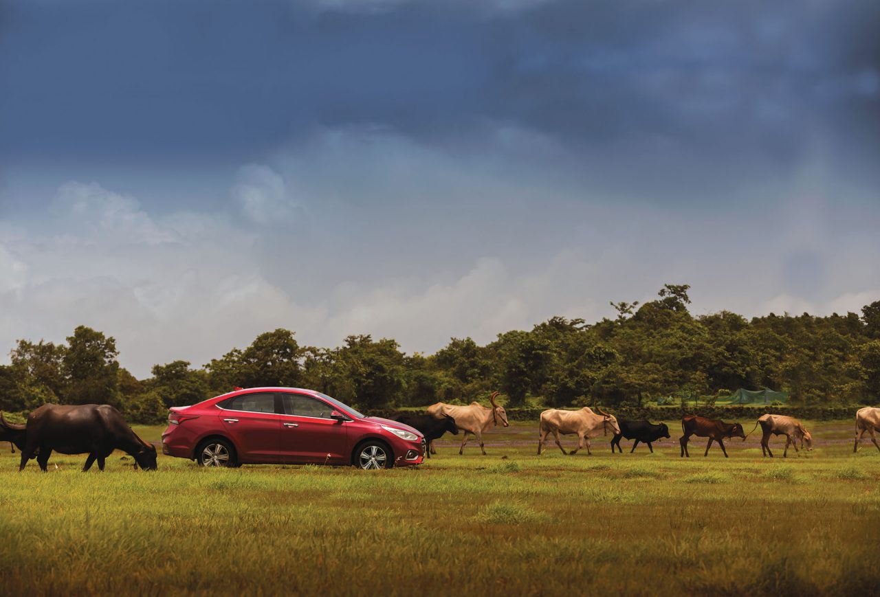 Hyundai Verna Travel Farm of Happiness