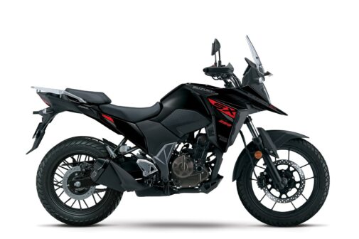 Suzuki-V-Strom-SX (3) (Copy)