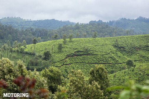 Hyundai Alcazar - Nilgiri landscape