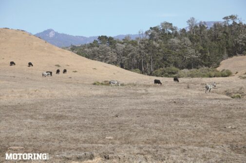 California State Route 1 - Road Trip