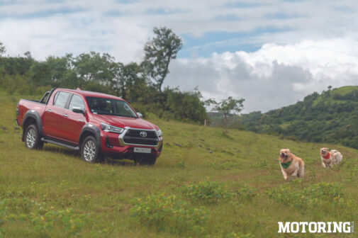 hilux with labradors