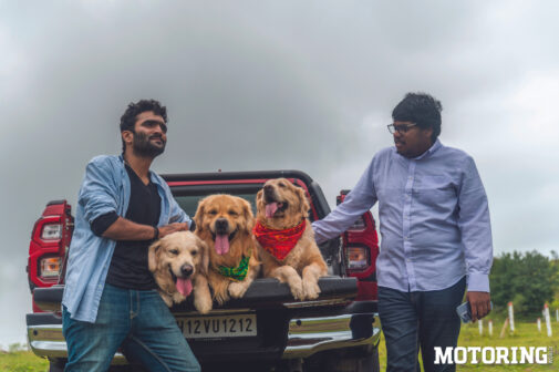 hilux with labradors