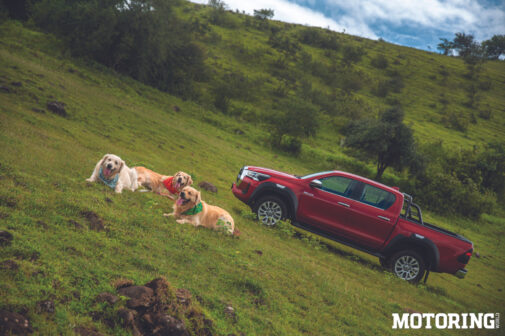 hilux and labradors